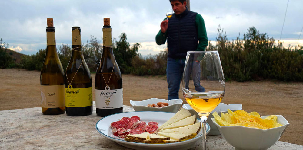 Visita y almuerzo en Bodegas Joaquim Batlle