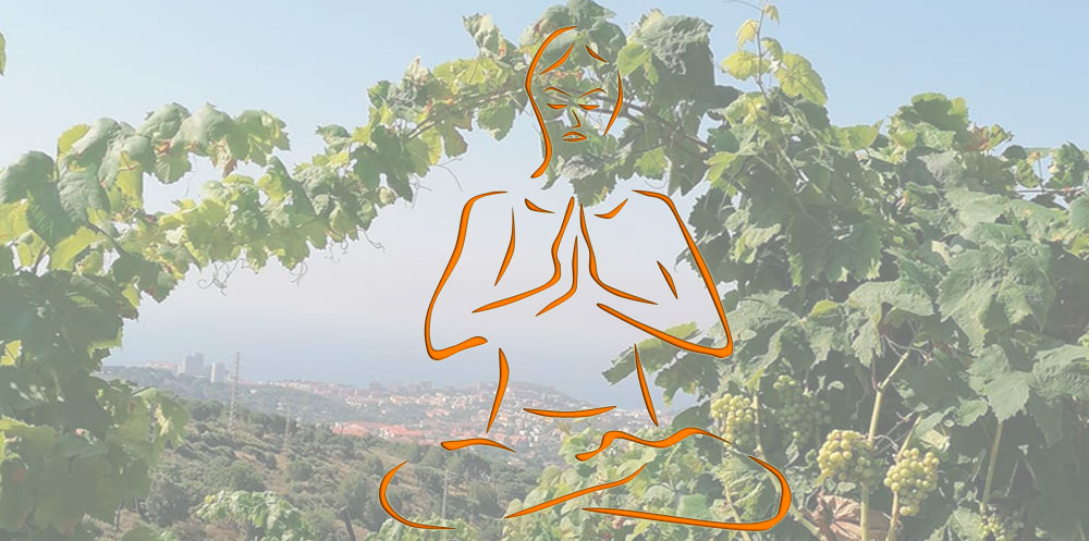 Experimenta el Yoga